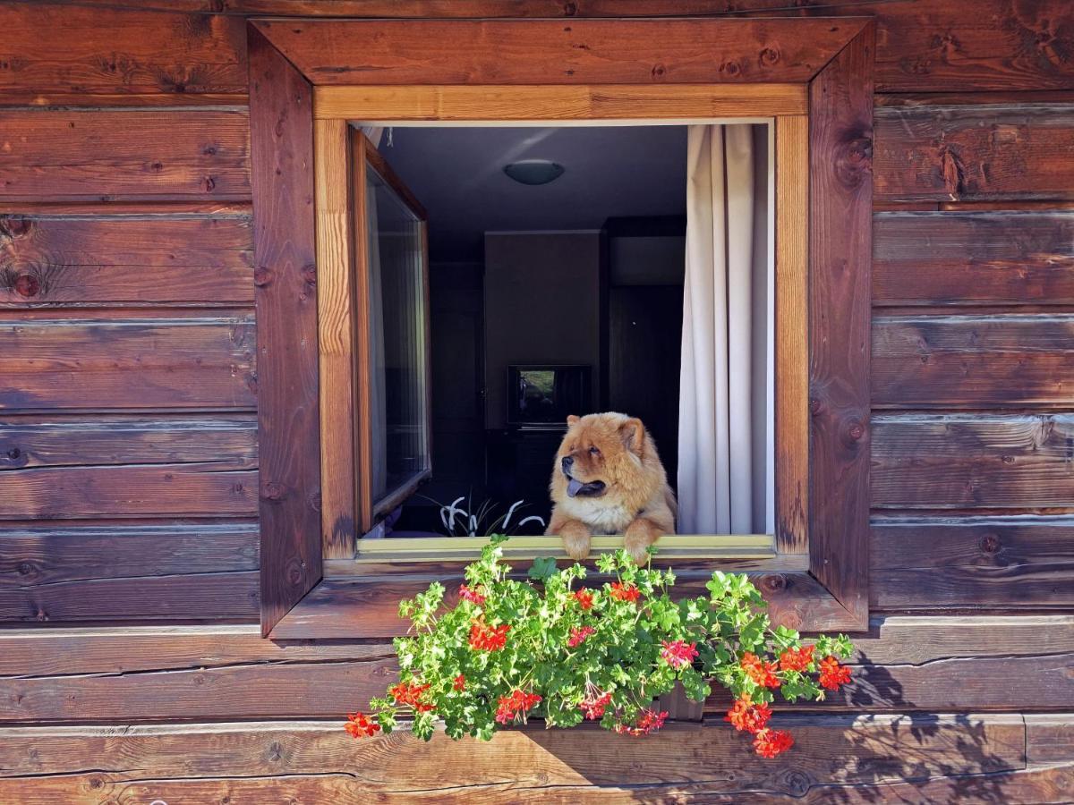 Bed and Breakfast Czarna Owca Istebna Exterior foto