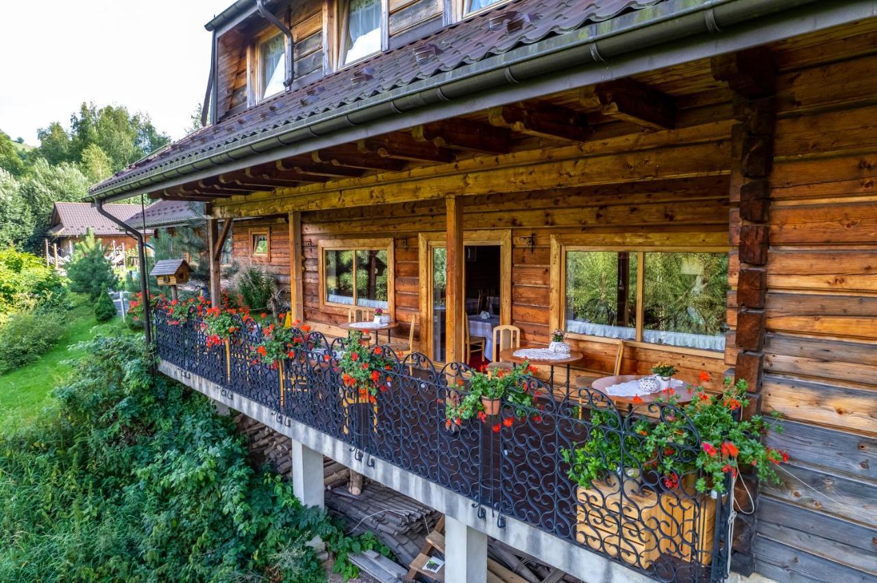 Bed and Breakfast Czarna Owca Istebna Exterior foto
