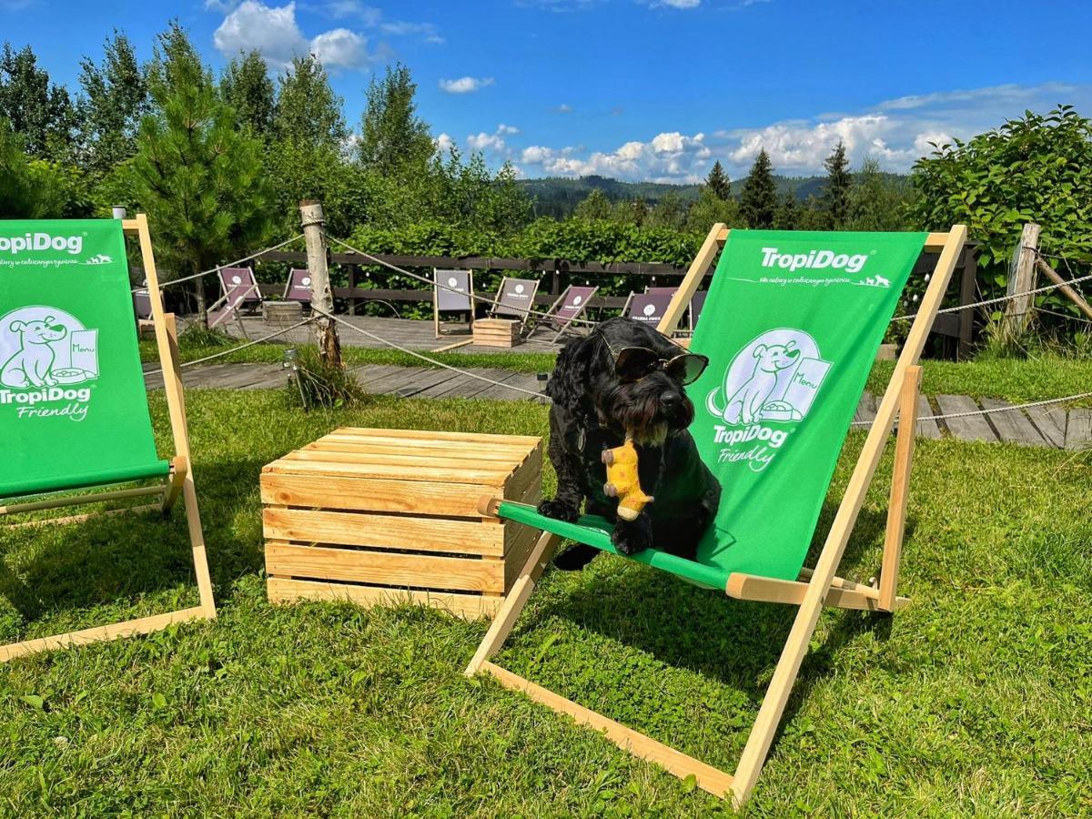 Bed and Breakfast Czarna Owca Istebna Exterior foto